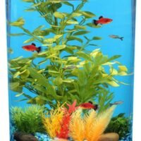 Koller Products AquaView 360 3-Gallon Aquarium with Power Filter &