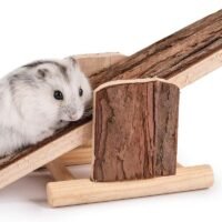 Niteangel Natural Wood Hamster Seesaw