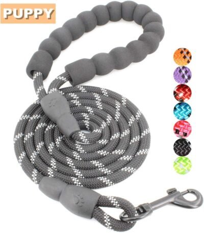 BAAPET 5 FT Strong Dog Leash with Comfortable Padded Handle and