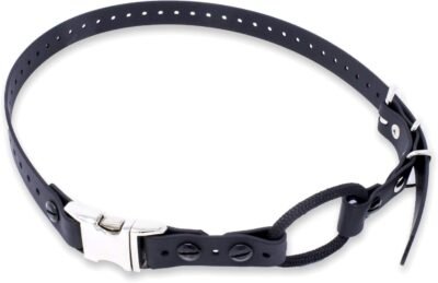 Educator Quick Snap Bungee Collar