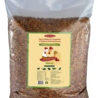 10lbs Bulk Non-GMO Dried Mealworms for Reptile Tortoise