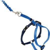 PetSafe Come with Me Kitty Harness and Bungee Leash Harness for Cats