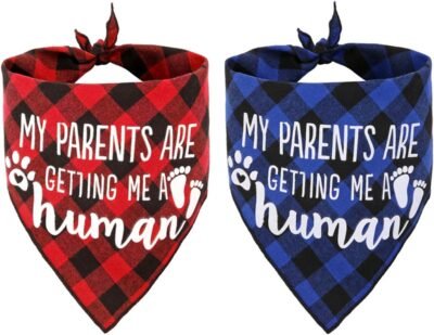 JPB My Parents are Getting me a Human2 Pack Gender Reveal Dog Bandana