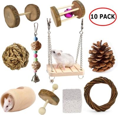 BWOGUE Hamster Chew Toys Rat Chinchilla Guinea Pig Rabbits Toys