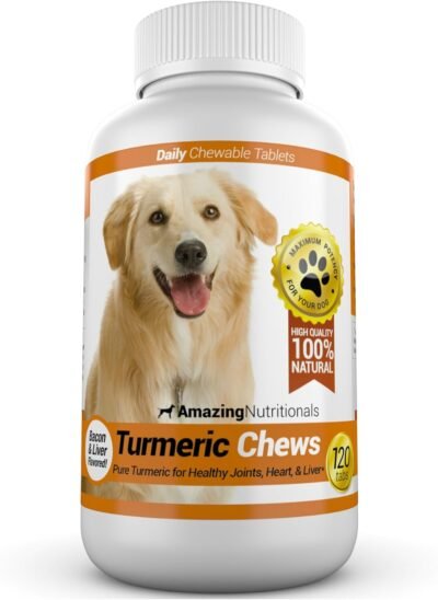 Amazing Turmeric for Dogs Curcumin Pet Antioxidant Eliminates Joint