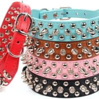 AOLOVE Mushrooms Spiked Rivet Studded Adjustable Pu Leather Pet