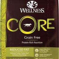 Wellness Core Natural Grain Free Dry Dog Food Reduced Fat