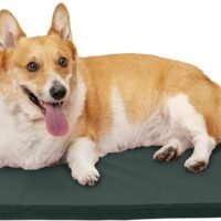 Furhaven Pet Dog Bed Kennel Pad Orthopedic Water-Repellent Crate or