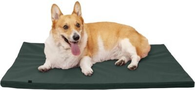 Furhaven Pet Dog Bed Kennel Pad Orthopedic Water-Repellent Crate or
