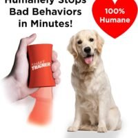 ShakeTrainer - The Original Premium & Complete Humane Dog Training