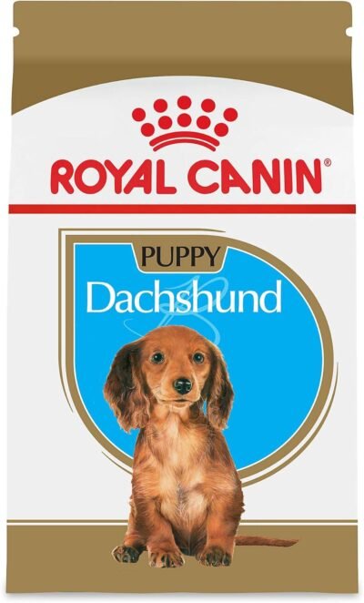 Royal Canin Breed Health Nutrition Dachshund Puppy Dry Dog Food