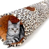 PAWZ Road Cat Toys Collapsible Tunnel Dog Tube for Fat CatRabbitsDogs