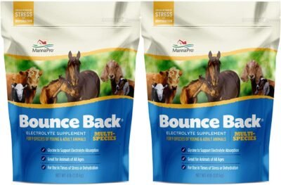 Manna Pro Bounce Back Multi-Species Electrolyte Supplement