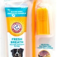 Arm & Hammer Dog Dental Care Fresh Breath Kit for Dogs Eliminates Bad