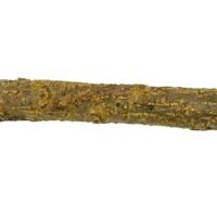 Niteangel Wooden Branches Natural Bird Perch for Cage 11-56 inches