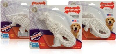 3 Pack Nylabone Durable Dental Dinosaur Chew Toy Dinosaur Varies