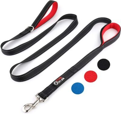 Primal Pet Gear Dog Leash 8ft Long - Traffic Padded Two Handle -