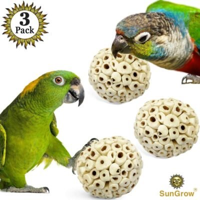 SunGrow 3 Sola Atta Foraging Balls 2 Satisfies Natural Pecking