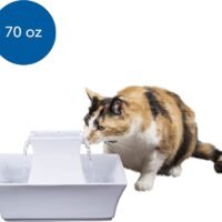 PetSafe Cat and Dog Water Fountain - Automatic Water Dispenser -
