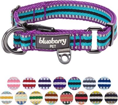 Blueberry Pet 15 Colors Safe & Comfy 3M Reflective Multi-Colored