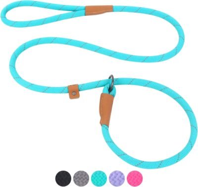 Pet's Company Slip Lead Dog Leash Reflective Mountain Climbing Rope