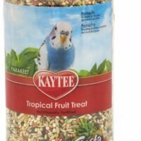 Kaytee Fiesta Tropical Fruit Parakeet Treat 11-Oz Jar