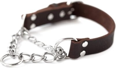 Mighty Paw Leather Training Collar Martingale Collar Stainless Steel