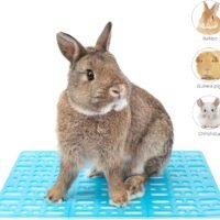 Niteangel 2 Pieces Rabbit Playpen Feet Mats for Cage Comes with 4