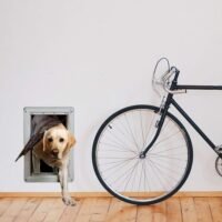 Ideal Pet Products Designer Series Ruff-Weather Pet Door Wall