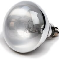 Evergreen Pet Supplies 100 Watt UVA UVB Mercury Vapor BulbLightLamp