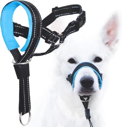 GoodBoy Dog Head Halter with Safety Strap - Stops Heavy Pulling On