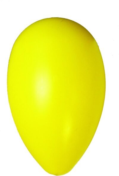 Jolly Pets Jolly Egg Dog Toy