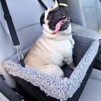 Devoted Doggy Deluxe Dog Booster Car Seat - Premium Quality Metal