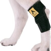 AGON Dog Canine Rear Hock Joint Brace Compression Wrap with Straps