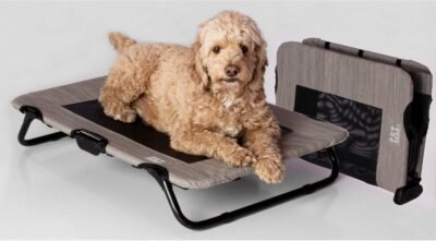 Pet Gear Lifestyle Pet Cot Elevated Bed No Assembly Required Premium