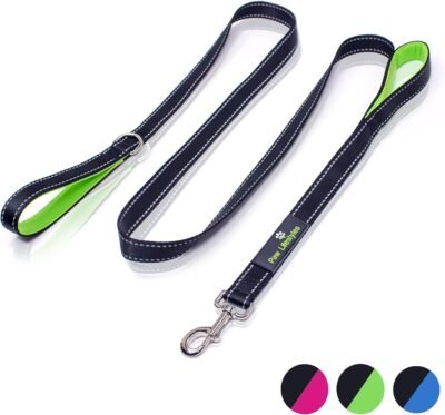 Paw Lifestyles Heavy Duty Dog Leash - 2 Handles - Padded Traffic