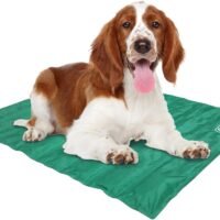 Coleman Pressure Activated Comfort Cooling Gel Pet Pad Mat for Medium
