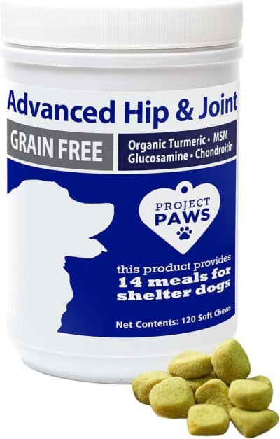 Project Paws Hip and Joint Supplement for Dogs - Dog Glucosamine