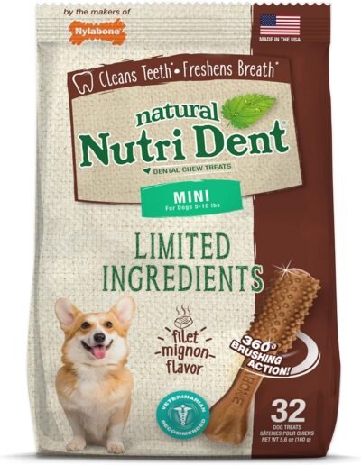 Nylabone Nutri Dent Natural Dental Filet Mignon Flavored Chew Treats