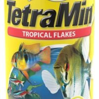 TetraMin Large Tropical Flakes For Top or Mid Feeders