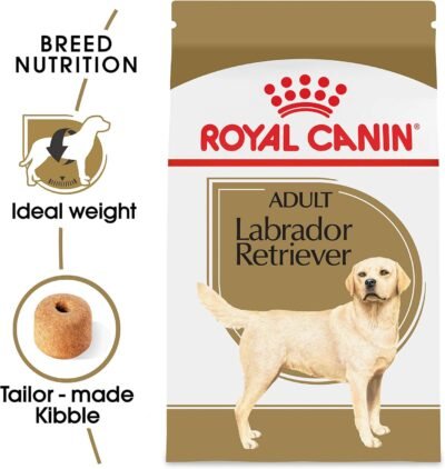 Royal Canin Breed Health Nutrition Labrador Retriever Adult Dry Dog