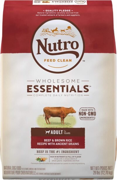 NUTRO Wholesome Essentials Natural Adult Dry Dog Food Beef & Brown