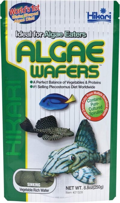 Hikari Tropical Algae Wafers Fish Food for Plecostomus & Algae Eaters