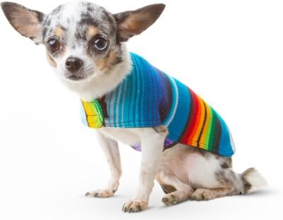 Handmade Dog Poncho from Mexican Serape Blanket - Dog Clothes - Coat