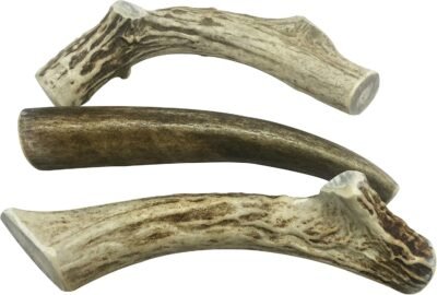 WhiteTail Naturals 3 Pack- Deer Antler Dog Chews Medium 5 to 6 Inches