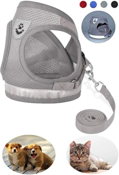 GAUTERF Kitten and Puppy Universal Harness with Leash Set Escape