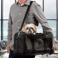 Sherpa Travel Original Deluxe Airline Approved Pet Carrier