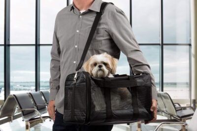 Sherpa Travel Original Deluxe Airline Approved Pet Carrier