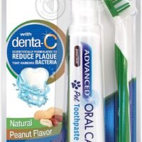 Nylabone Advanced Oral Care Natural Dog Dental Kit