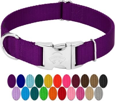 Country Brook Petz - Premium Nylon Dog Collar with Metal Buckle -